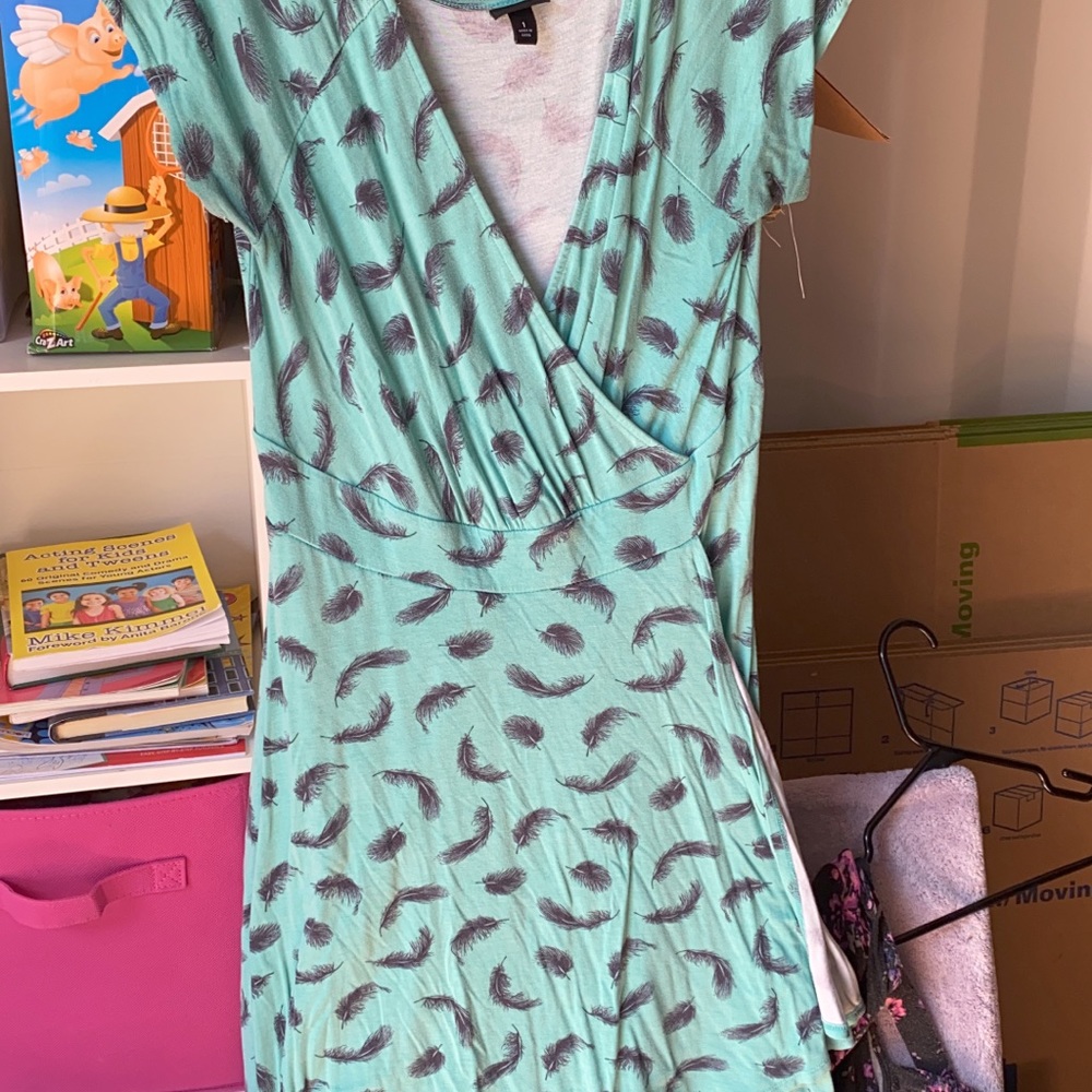 Torrid mint feather dress